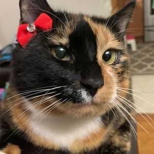 Meet your Posher, Angie